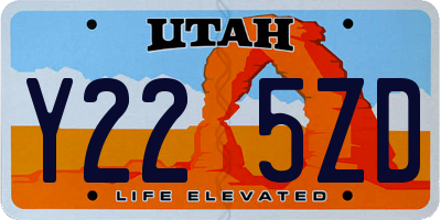 UT license plate Y225ZD