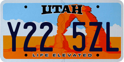 UT license plate Y225ZL
