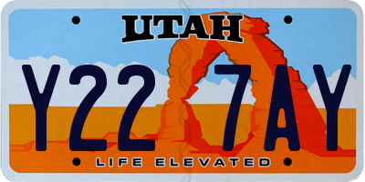 UT license plate Y227AY