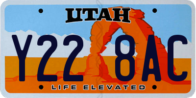UT license plate Y228AC