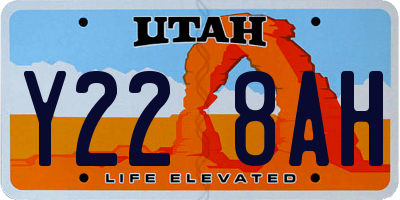 UT license plate Y228AH