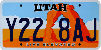 UT license plate Y228AJ