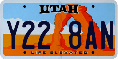 UT license plate Y228AN