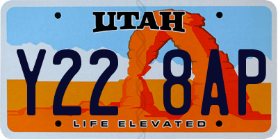UT license plate Y228AP