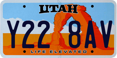 UT license plate Y228AV