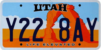 UT license plate Y228AY