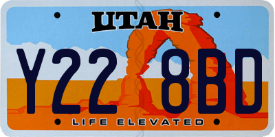 UT license plate Y228BD