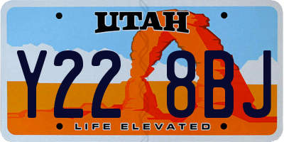 UT license plate Y228BJ