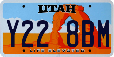 UT license plate Y228BM