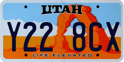 UT license plate Y228CX