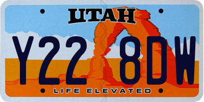 UT license plate Y228DW