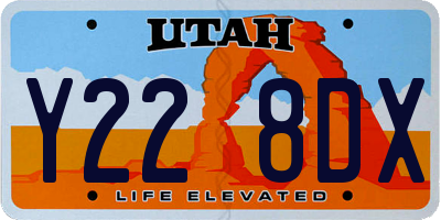 UT license plate Y228DX
