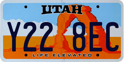 UT license plate Y228EC