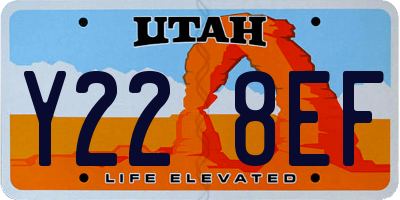 UT license plate Y228EF