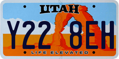 UT license plate Y228EH