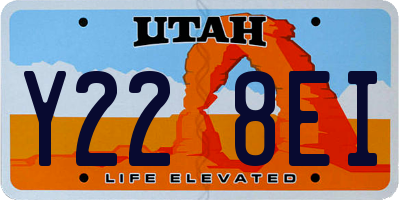 UT license plate Y228EI