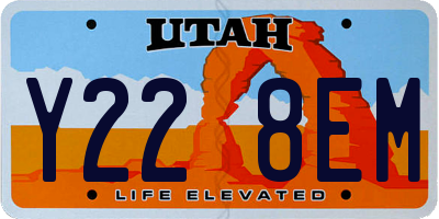 UT license plate Y228EM