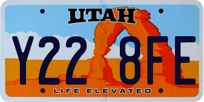 UT license plate Y228FE