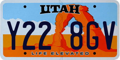 UT license plate Y228GV