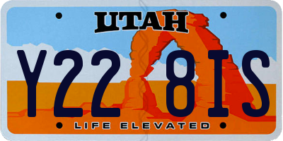 UT license plate Y228IS
