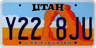 UT license plate Y228JU