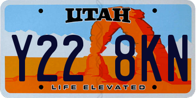 UT license plate Y228KN