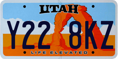 UT license plate Y228KZ