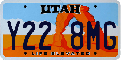 UT license plate Y228MG