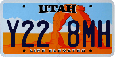 UT license plate Y228MH