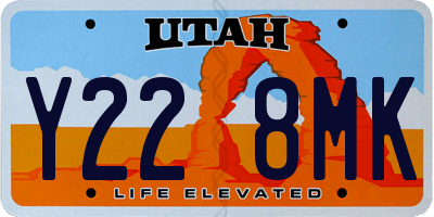 UT license plate Y228MK