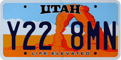 UT license plate Y228MN