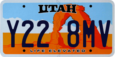 UT license plate Y228MV