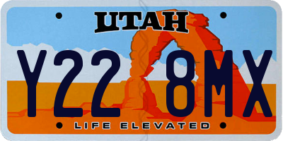 UT license plate Y228MX