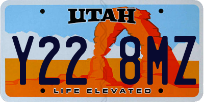 UT license plate Y228MZ