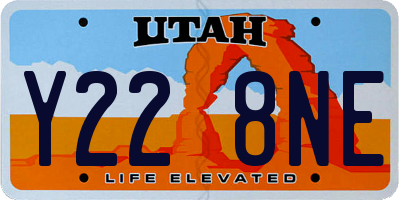 UT license plate Y228NE