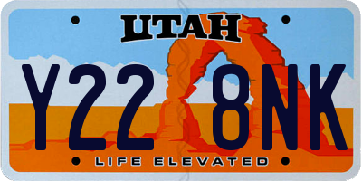 UT license plate Y228NK