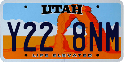 UT license plate Y228NM