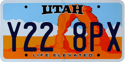 UT license plate Y228PX