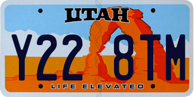 UT license plate Y228TM