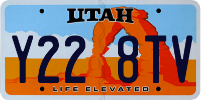 UT license plate Y228TV