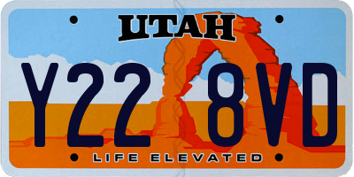 UT license plate Y228VD