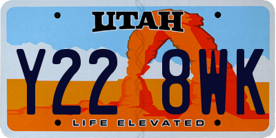 UT license plate Y228WK