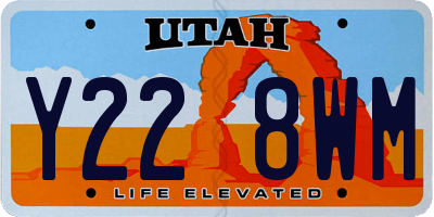 UT license plate Y228WM