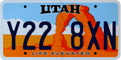 UT license plate Y228XN