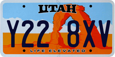 UT license plate Y228XV