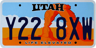 UT license plate Y228XW