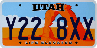 UT license plate Y228XX