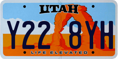UT license plate Y228YH