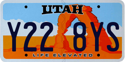 UT license plate Y228YS