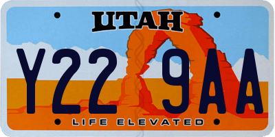 UT license plate Y229AA